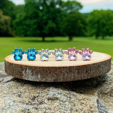 Load image into Gallery viewer, Sky Blue Gemstone Paw Earrings