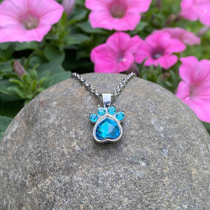 Sky Blue Gemstone Paw Necklace